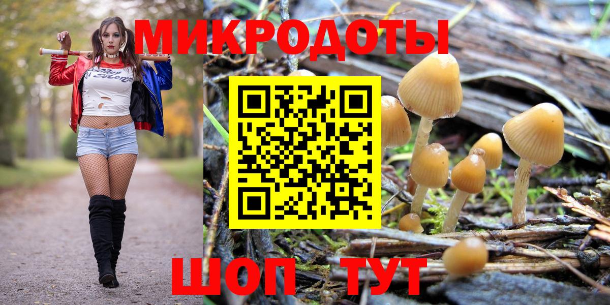 Губаха  Галлюциногенные грибы Cubensis  Вход с VPN 